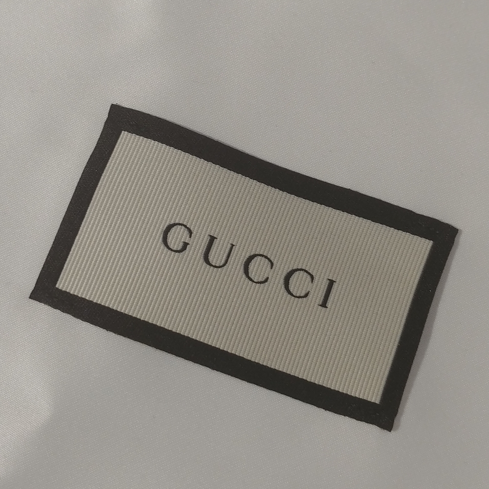 Gucci shoe/dust bag